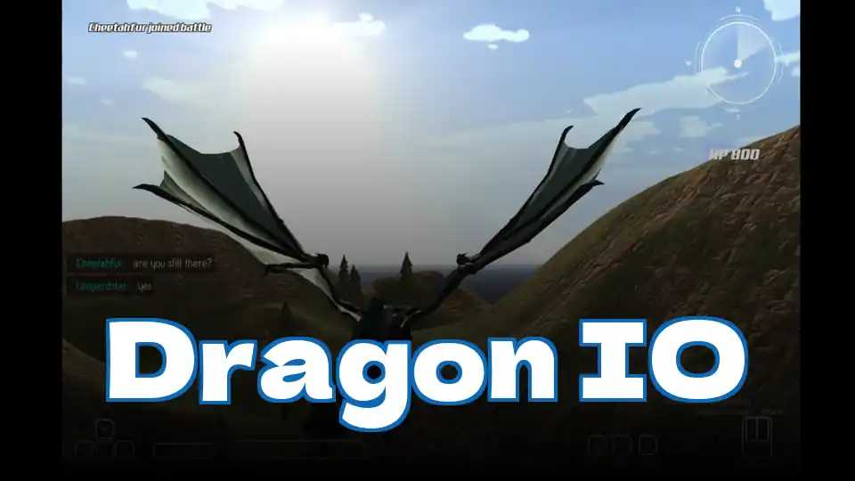 Dragon IO