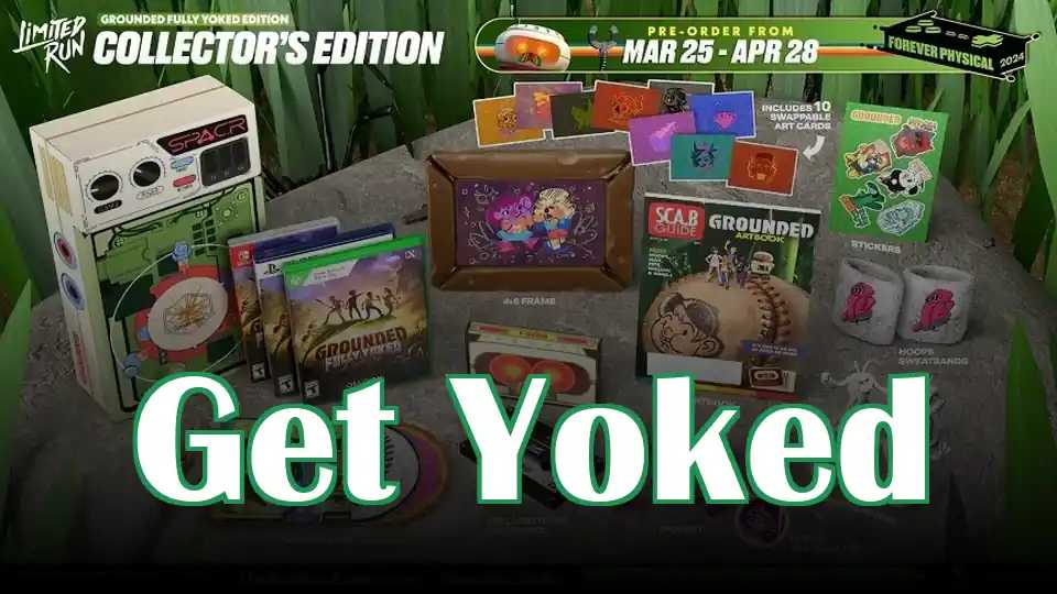 Get Yoked
