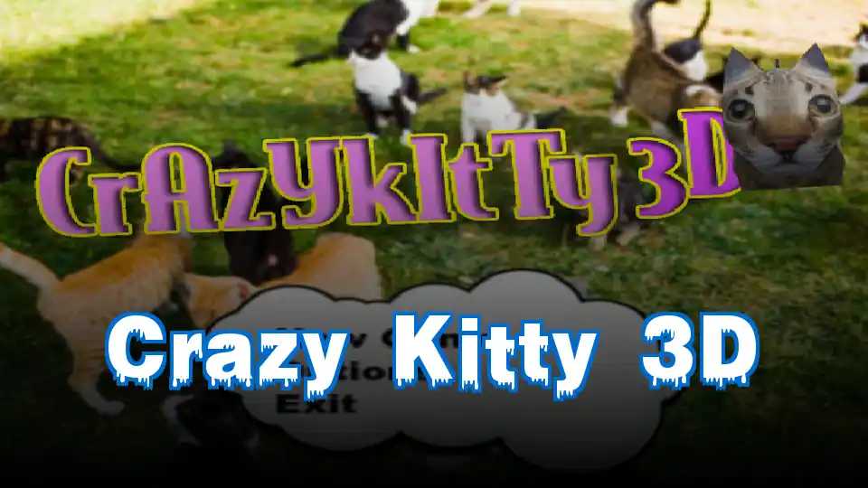 Crazy Kitty 3D